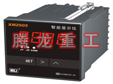 溫度表、數(shù)字顯示儀、濕度表