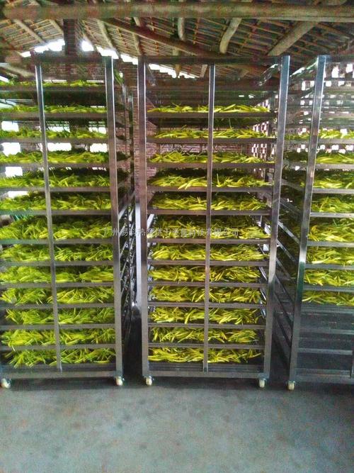 黃花菜烘干機(jī)、黃花菜烘干設(shè)備、黃花菜干燥機(jī)、黃花菜干燥設(shè)備、